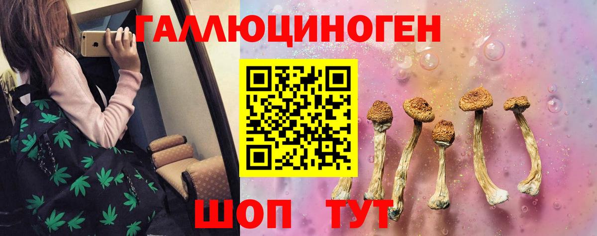 Псилоцибиновые грибы прущие грибы Кемерово